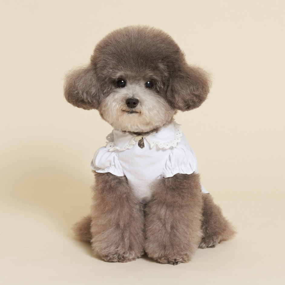 M家白色翻领刺绣打底衫