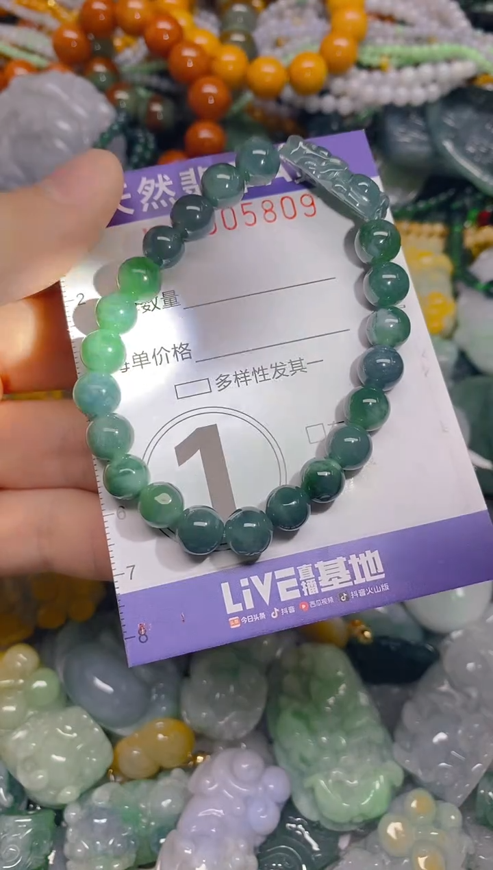 颈饰未镶嵌翡翠0005809