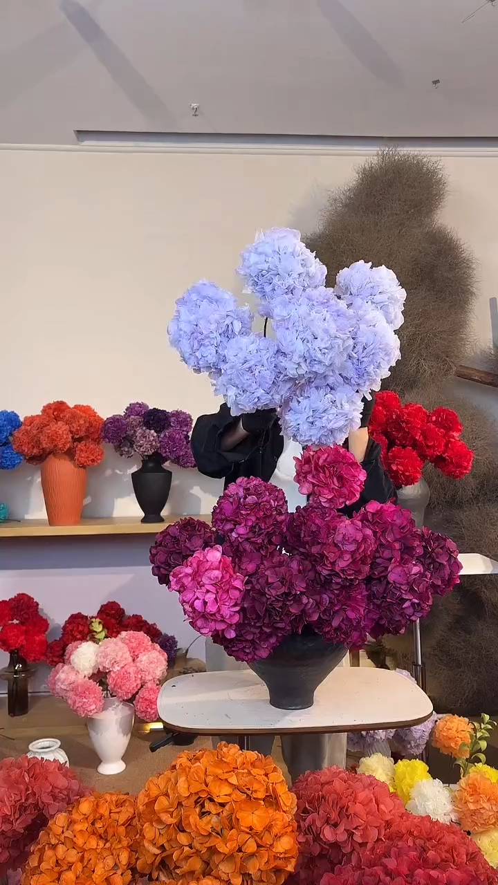 漂色永生大叶绣球花球7枝——蓝花楹紫