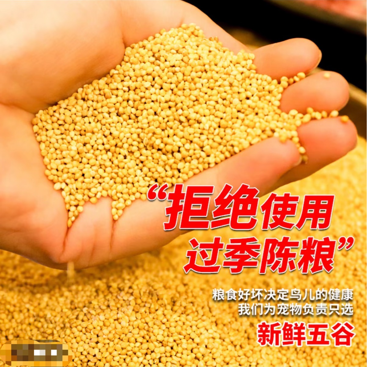 新黄谷子带壳小米鹦鹉饲料玄凤牡丹虎皮等鸟类通用鸟食