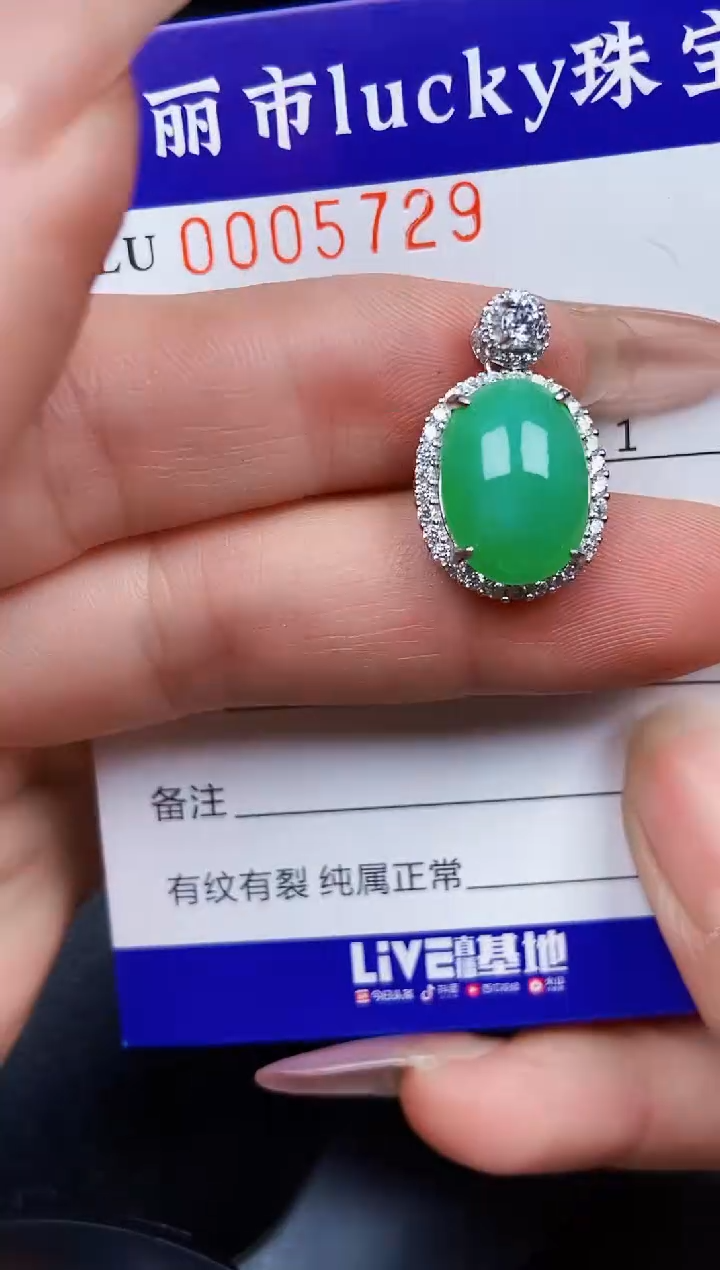 翡翠银S925镶嵌颈饰5729