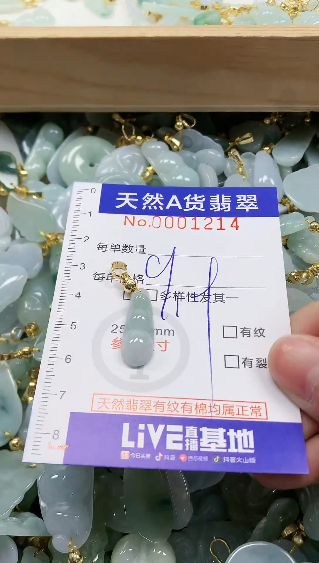 颈饰未镶嵌翡翠纯天然a货翡翠