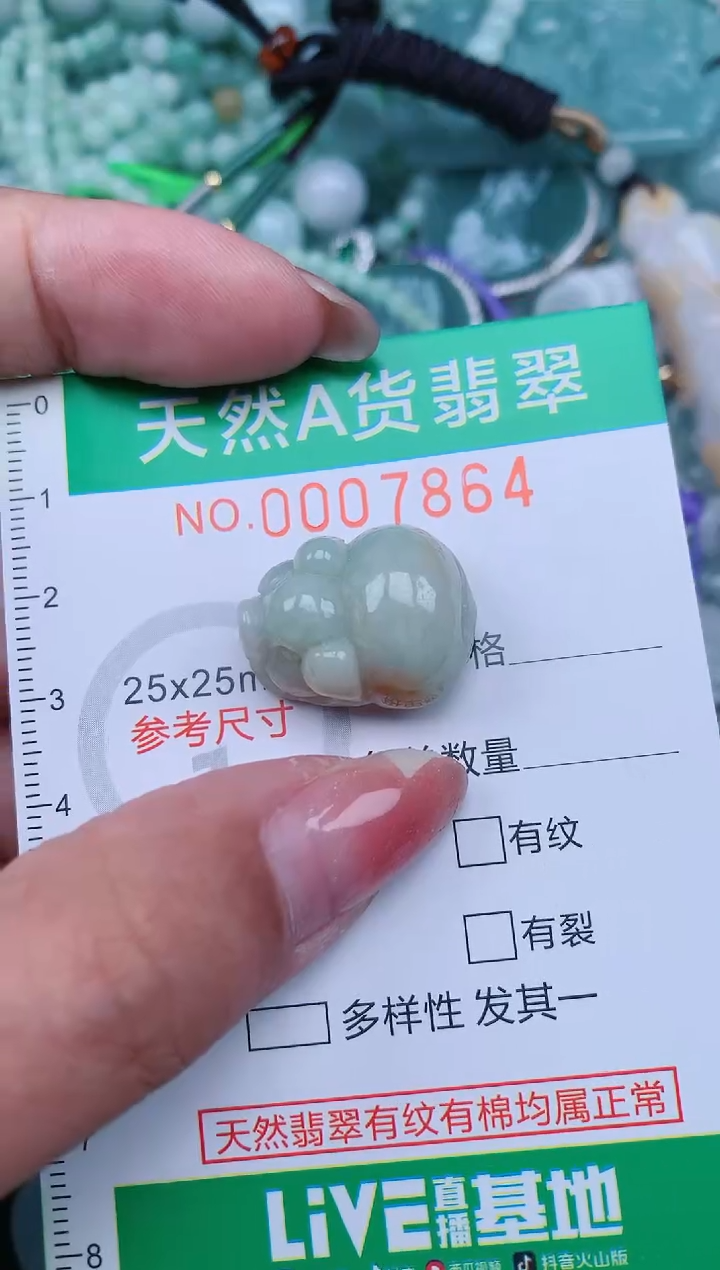 【闪购商品】翡翠颈饰未镶嵌.0007864