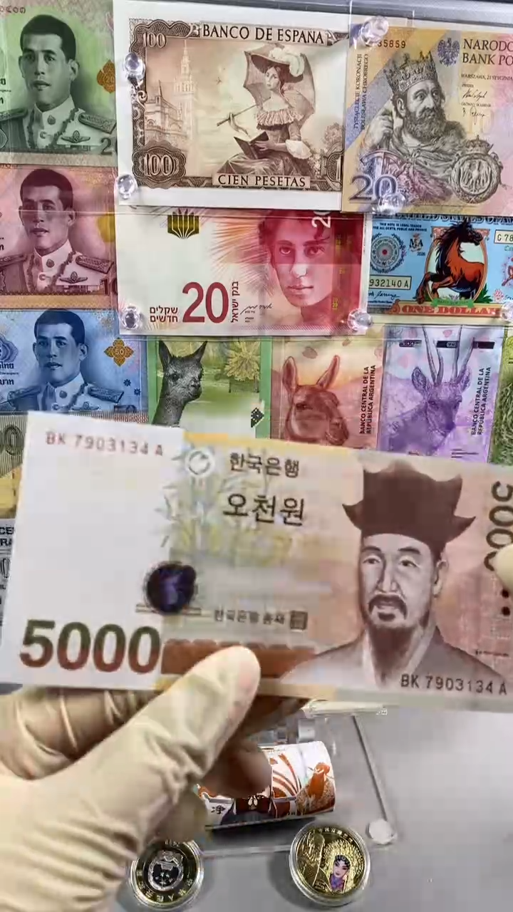 纸币韩 5000 纸币