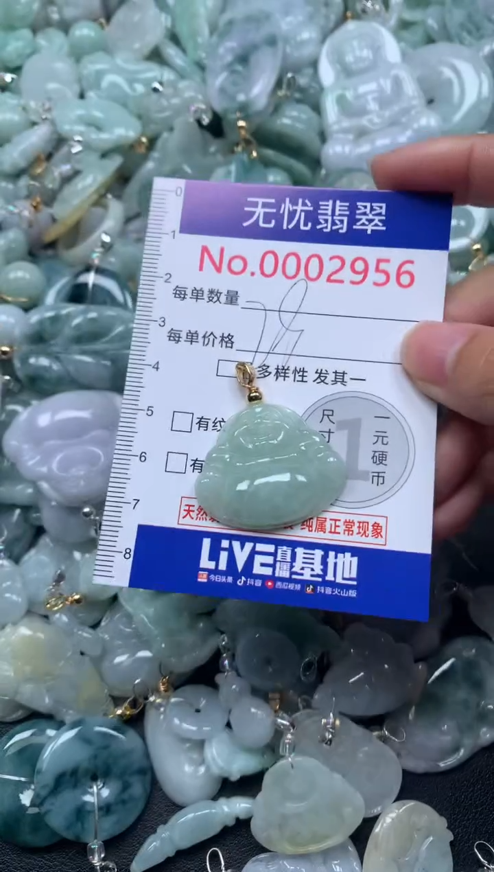 颈饰未镶嵌翡翠2956