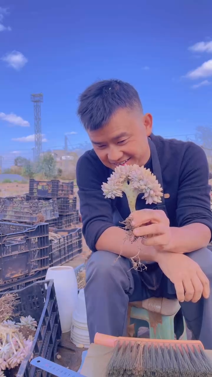 妖*玲228淡雪缀化一物一拍