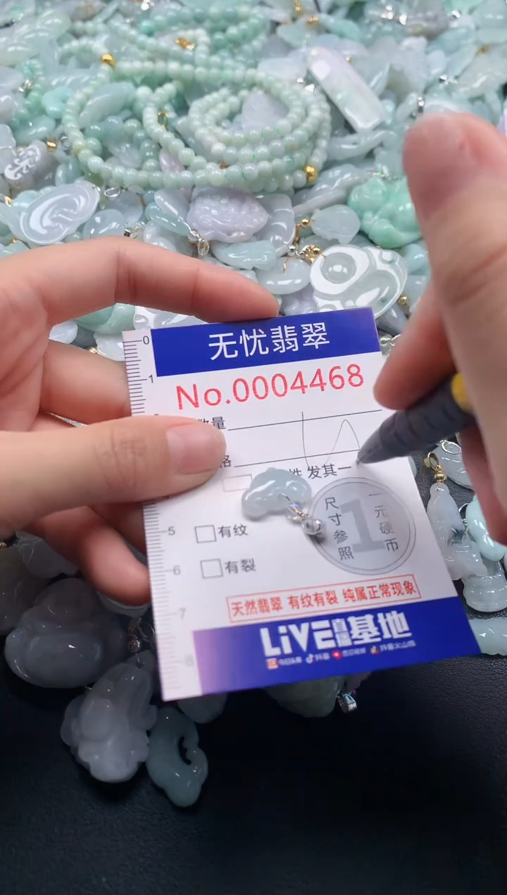 颈饰未镶嵌翡翠4468