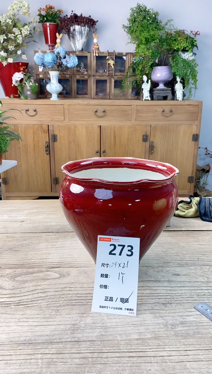 小玩子花盆直播号273