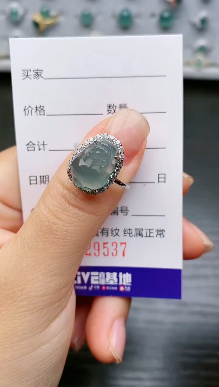 【闪购商品】翡翠戒指银S925镶嵌9537