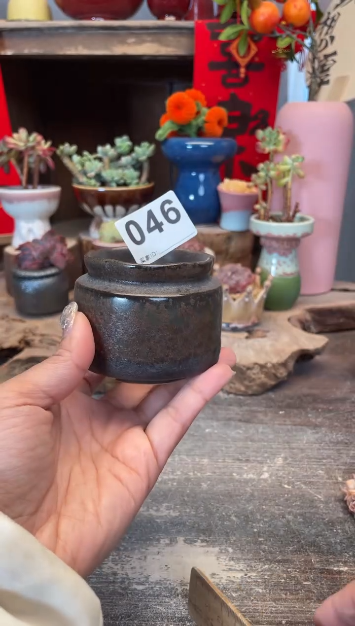 【闪购商品】摆件046知木小芳花盆