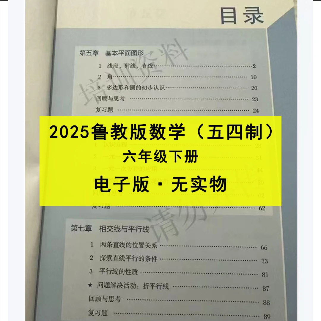 2025春新版五四制鲁教版初中数学电子版教材6年级下册六年级