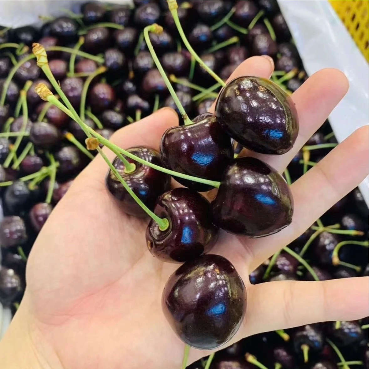 拉宾斯3J车厘子（1件5斤）