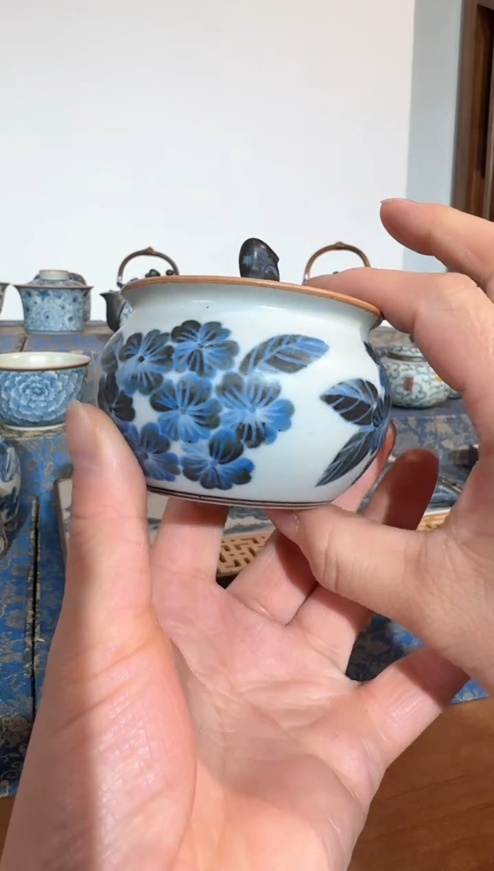 【闪购商品】福利断舍海棠花宝瓶