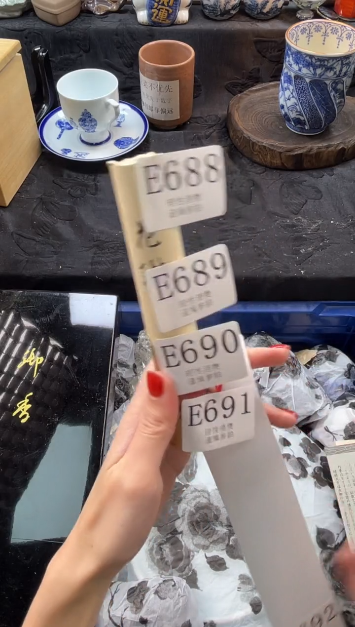 瓷片       E695