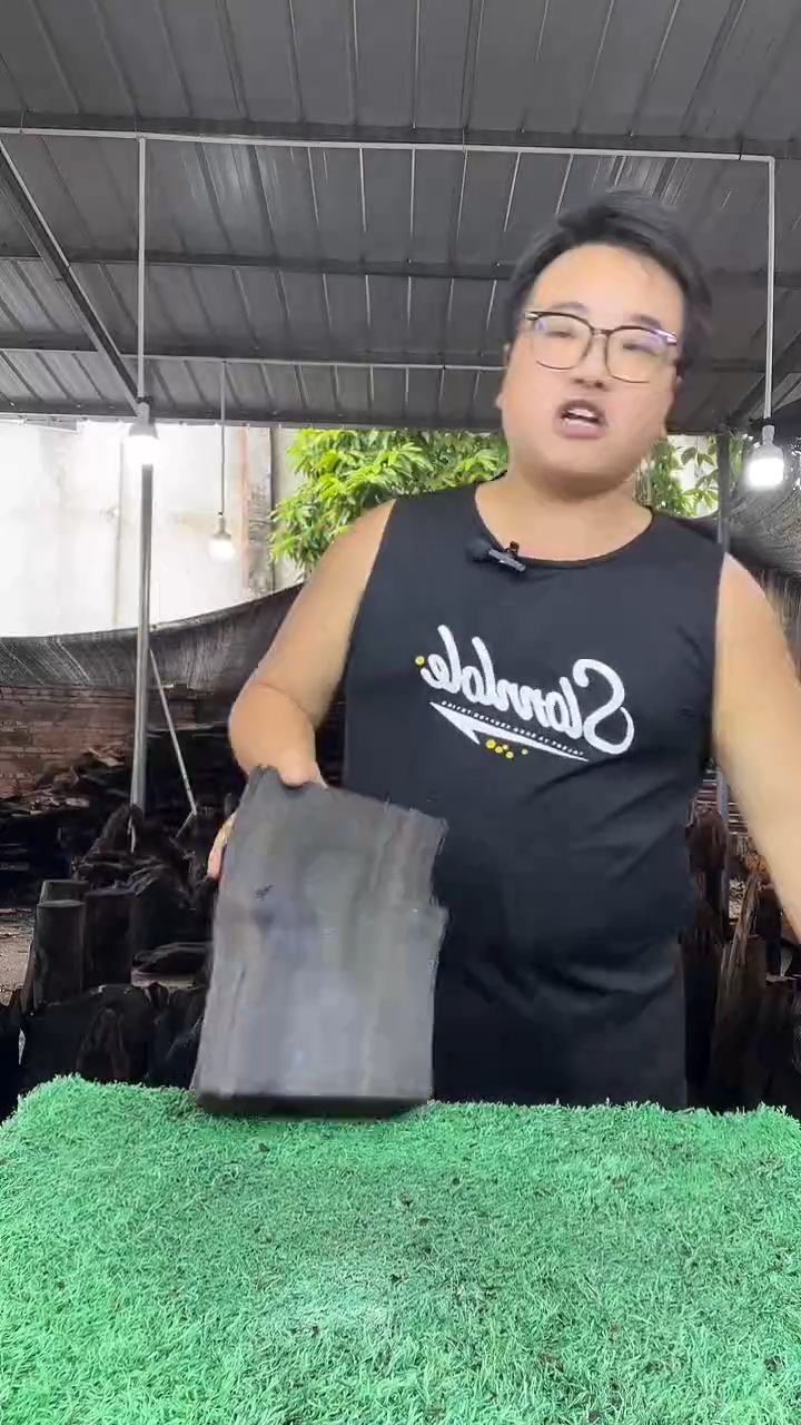 金丝楠小叶桢楠206