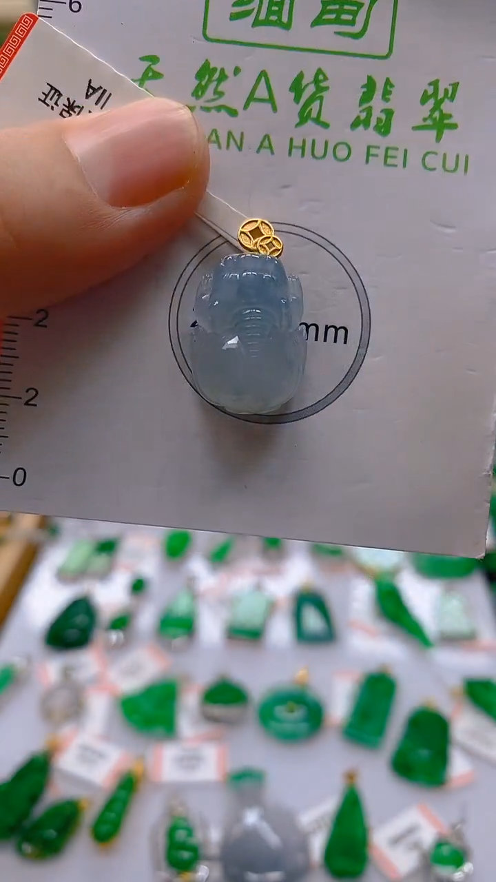 【闪购商品】翡翠18K金镶嵌颈饰 新号开播，全场乱卖