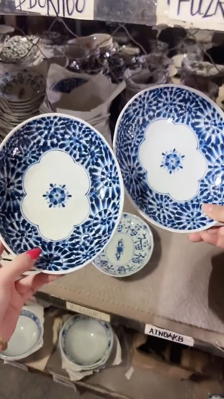 陶瓷（两个）日本进口陶瓷19.7cm椭圆深盘家用