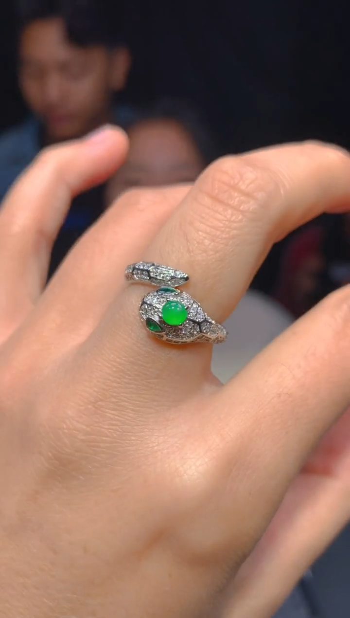 【闪购商品】定制翡翠未镶嵌13多样性发货（发其一）