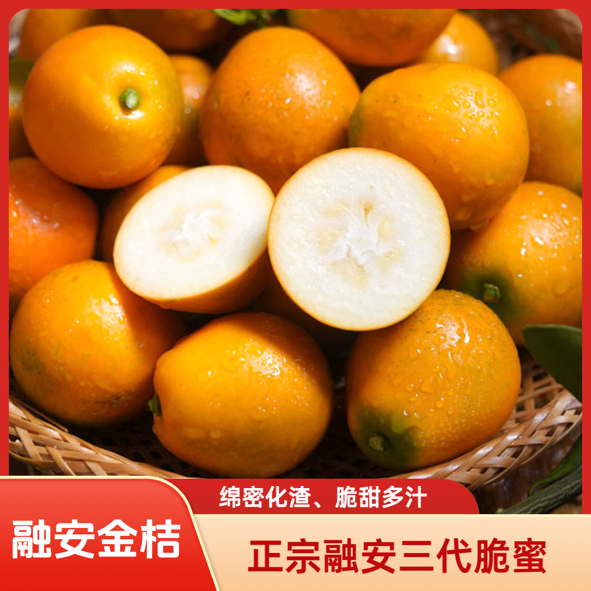 【精品送礼顺丰礼盒款】融安脆蜜金桔三代应季上市水果新鲜采摘包邮