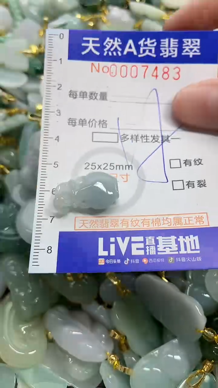 颈饰未镶嵌翡翠天然A货翡翠