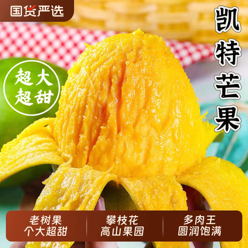 攀枝花凯特大芒果青芒新鲜水果多汁香味浓水果当季热卖带箱9-10斤