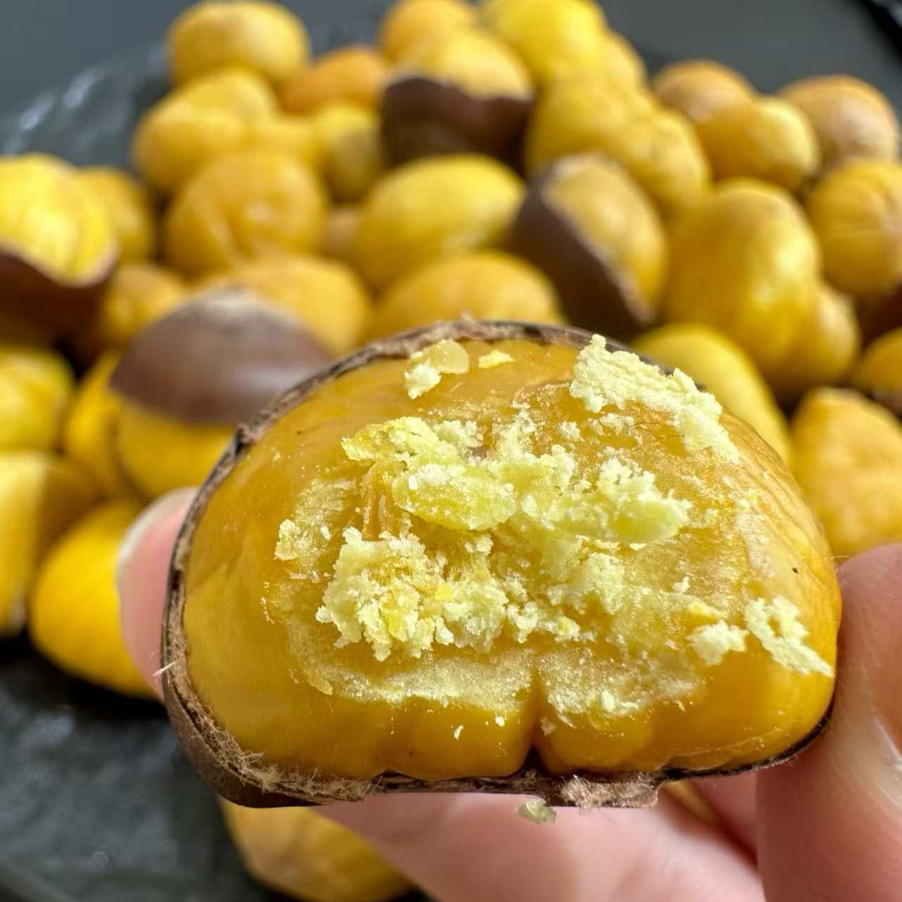 五莲山油板栗地标板栗山栗子5斤装五莲山板栗