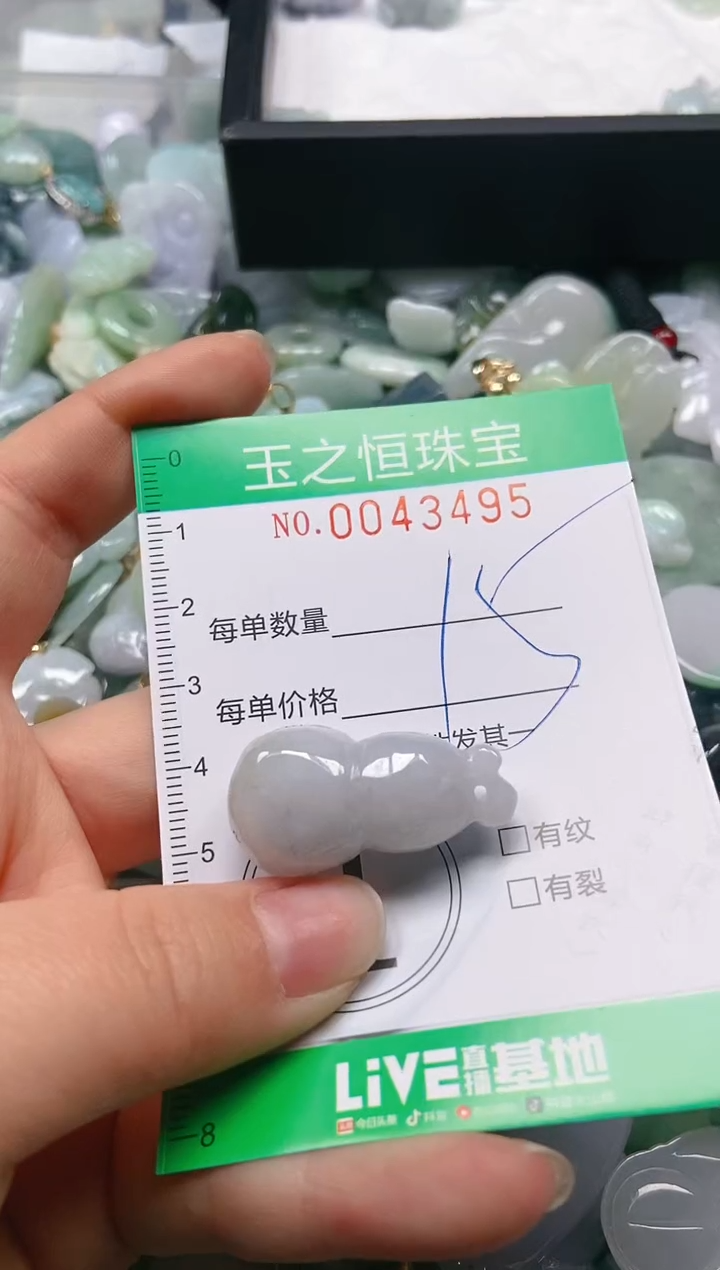 【闪购商品】翡翠颈饰未镶嵌闪购0043495