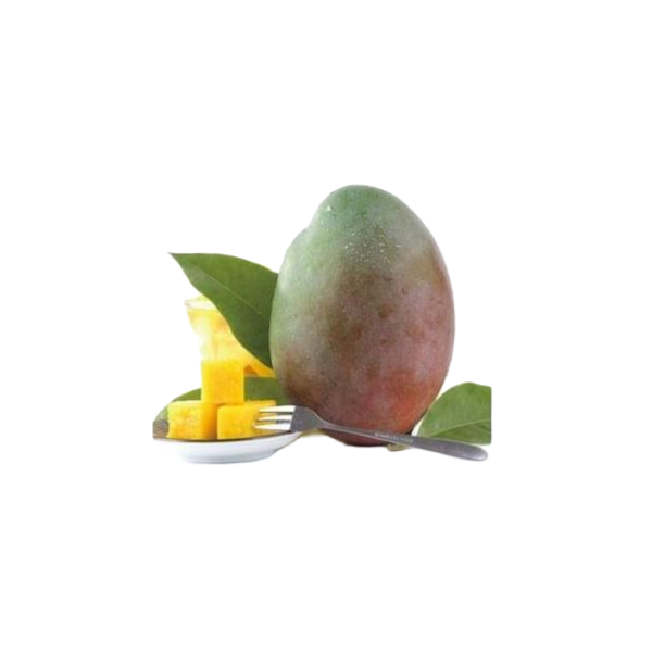 【五泉精选】凯特芒果750g