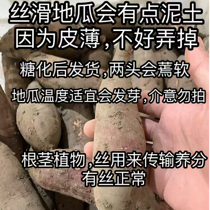 【京东快递】河北丝滑(榴莲蜜薯)地瓜，净重4.8斤  山东发货