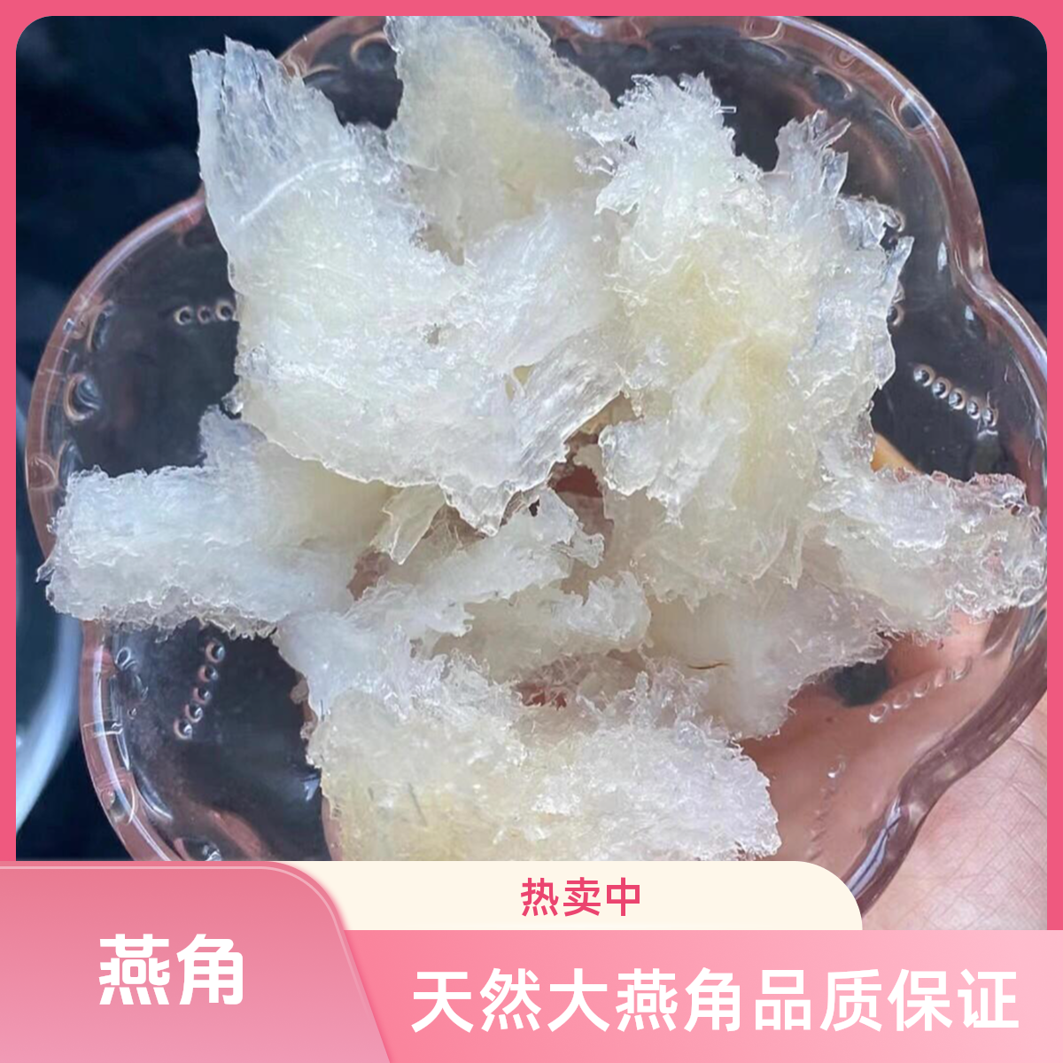 【10g/20g/30g】燕窝燕角印度尼西亚溯源码白燕角干角天然大燕角