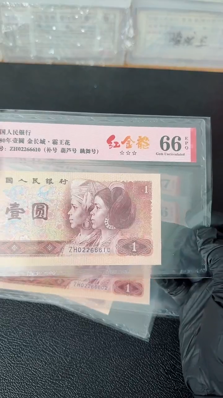 【闪购商品】801红龙单张ZH补02266610