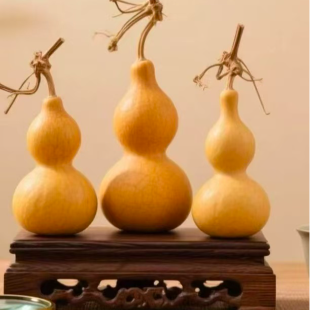 文玩葫芦直播间专拍一物一拍 自然生长葫芦 不支持退货退款 