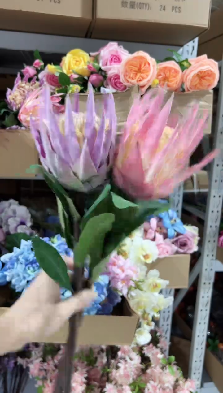 2枝混色帝王花花