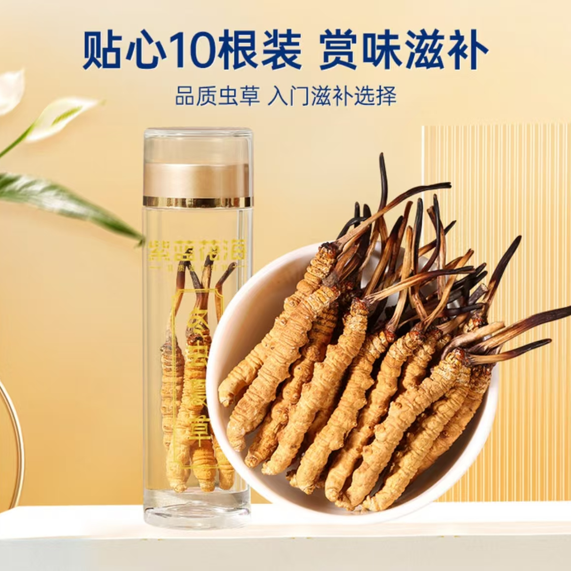 25年【雪山头期鲜干冬虫夏草尝鲜款】