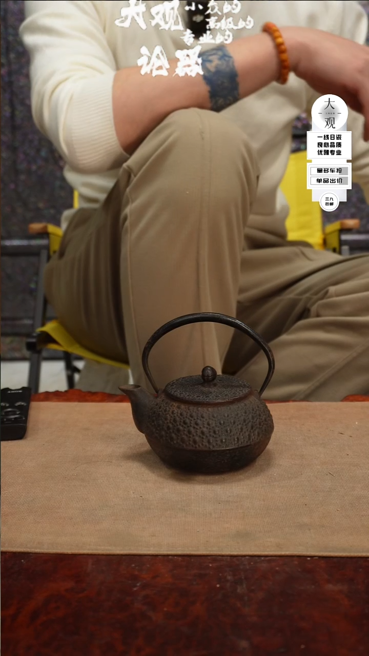 【闪购商品】瓷片大观论器铁壶
