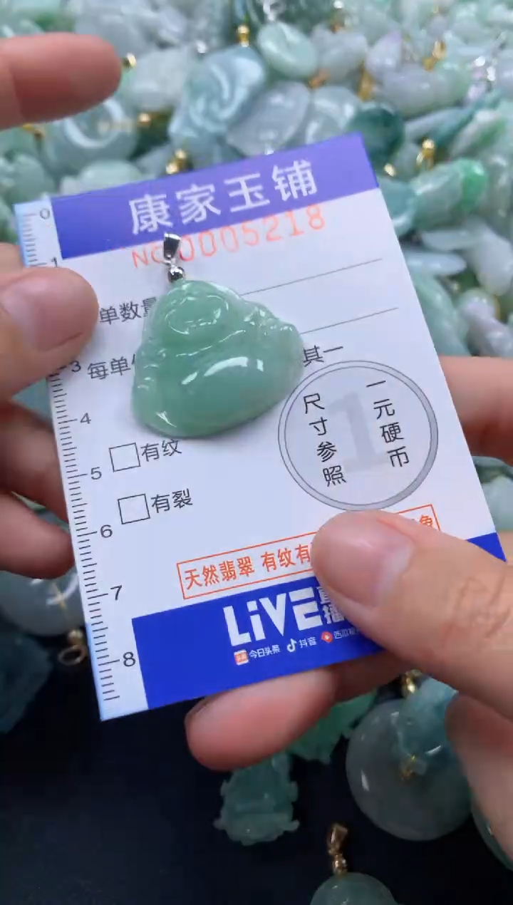 颈饰未镶嵌翡翠5218