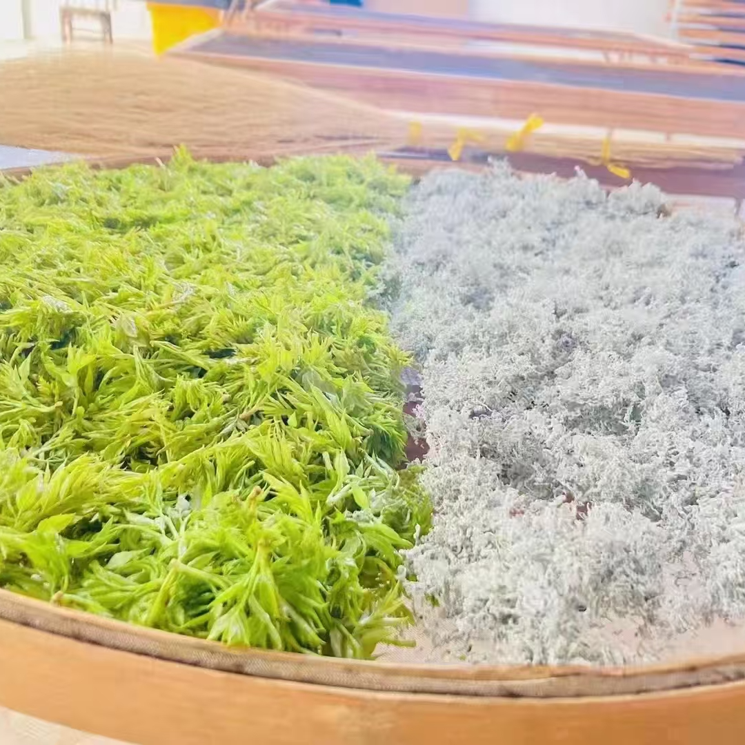紫芽莓茶50g*2 花青素更高 回甘持久 节日送礼口粮茶伴手礼 
