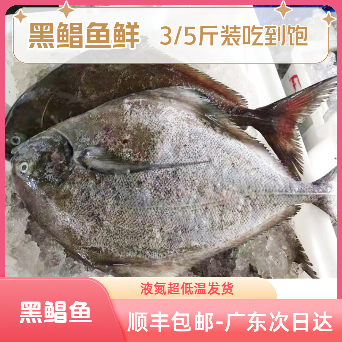 【3斤/5斤黑鲳鱼】【顺丰包邮】新鲜上岸开海新鱼低温冷链发货