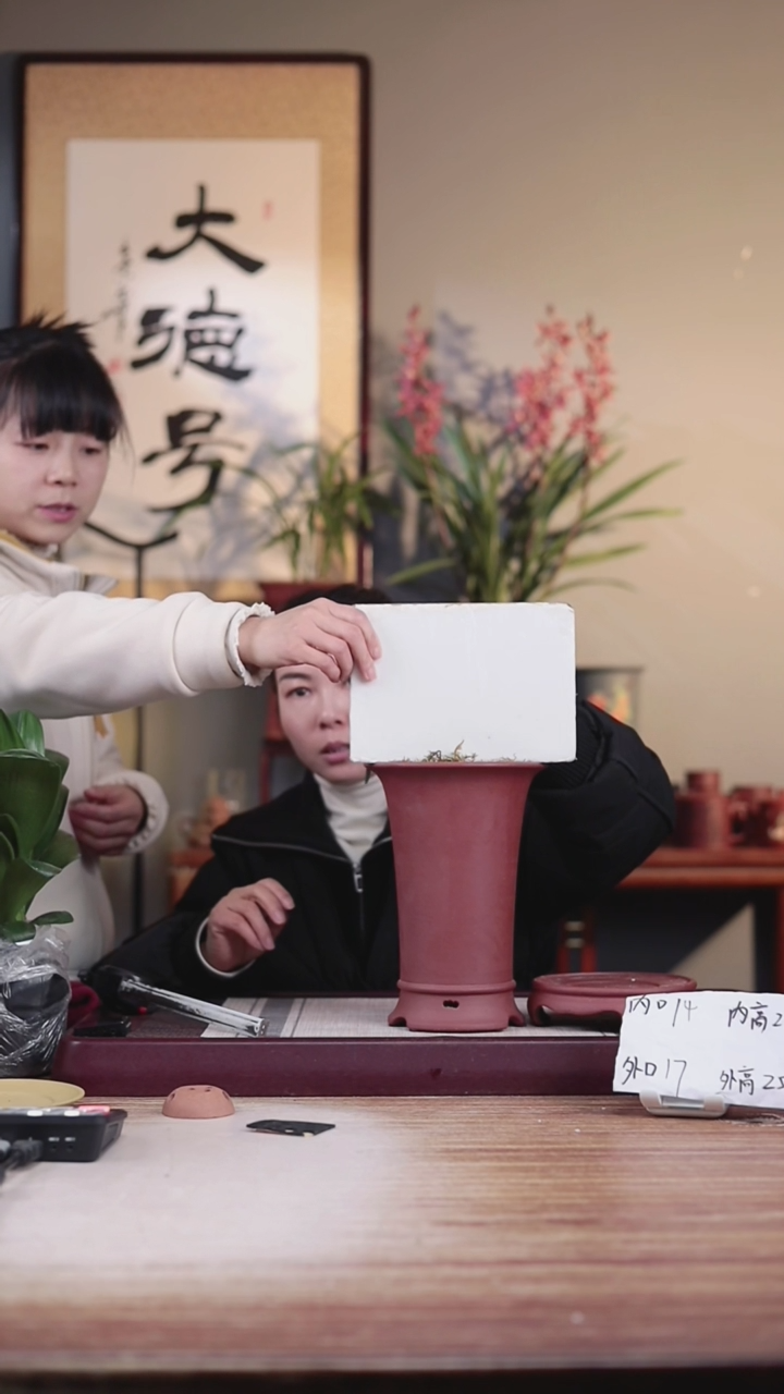 【闪购商品】紫砂花盆降坡泥素面圈脚大喇叭一只带托盘