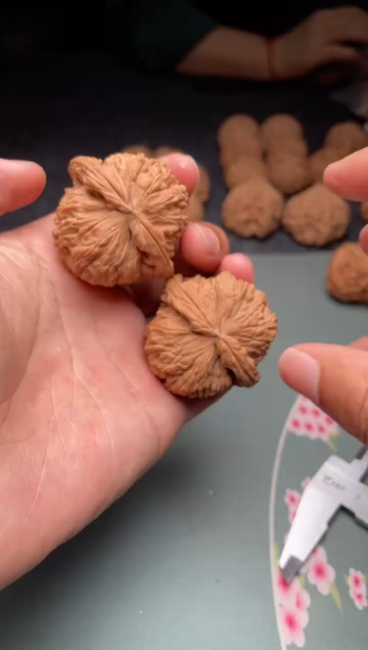 核桃a250  白狮子 45尺