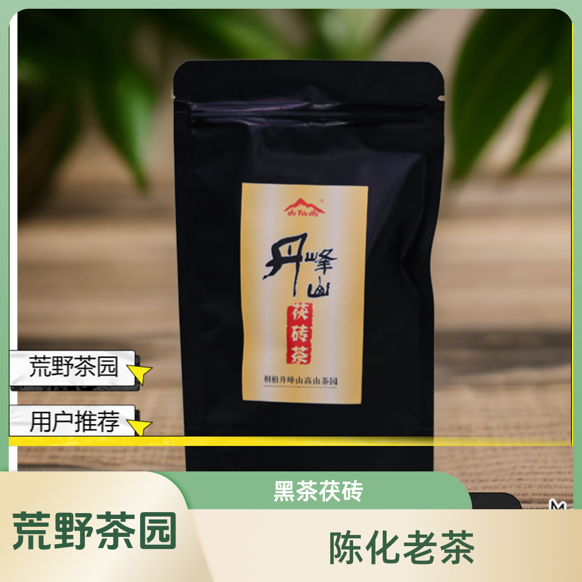 DANFENGSHAN丹峰山高山生态养胃黑茶金花茯砖茶50g袋装老茶茯茶