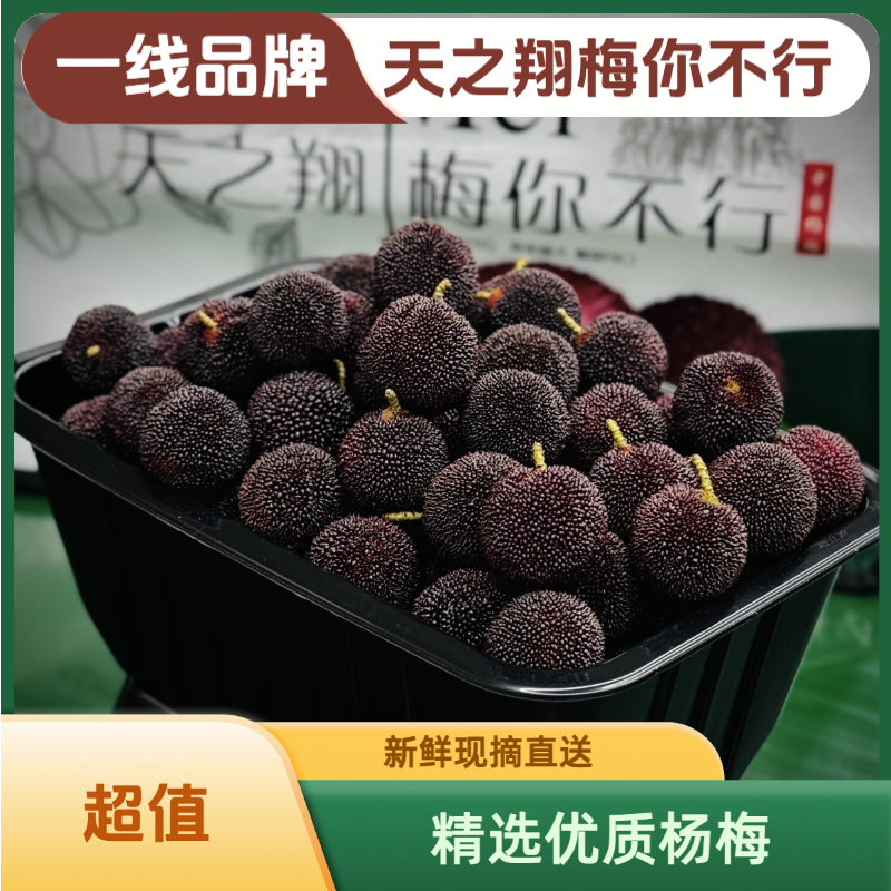 东魁果王·一线品牌「天之翔·梅你不行」云南石屏东魁杨梅现摘新鲜