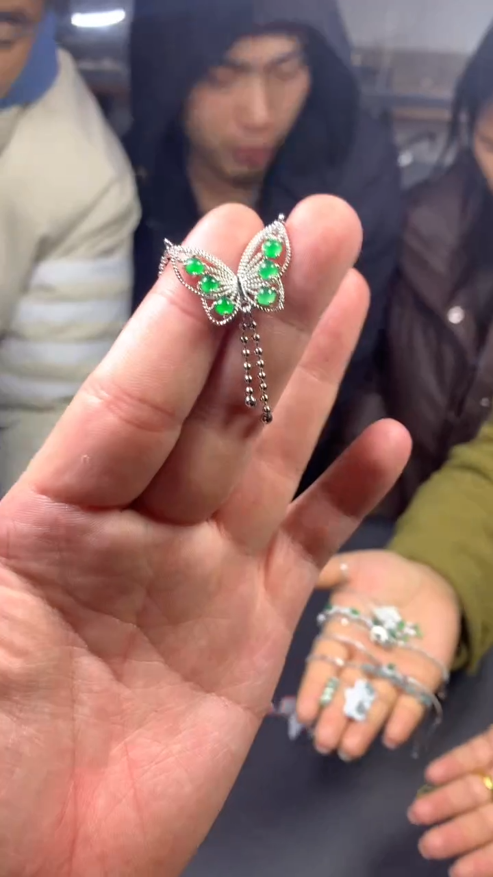 【闪购商品】翡翠项链未镶嵌0984701146/多样性发一