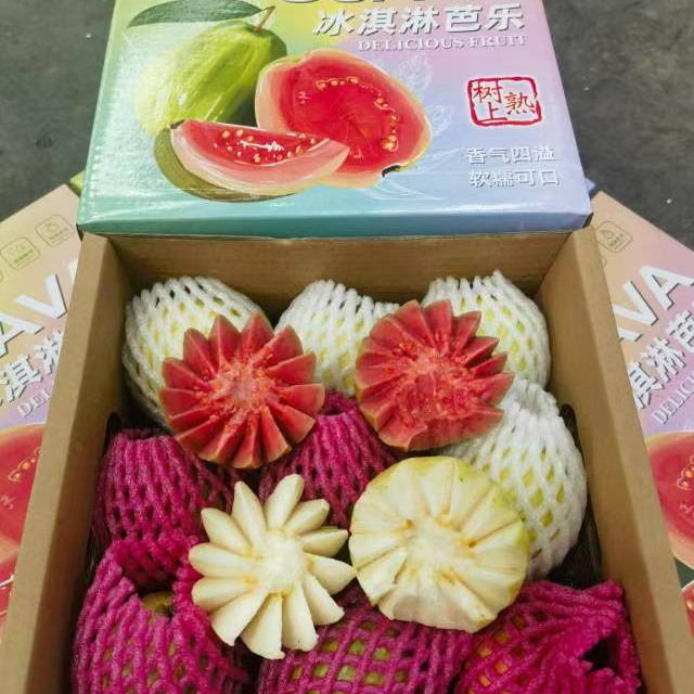 【小姨精选】新鲜软糯奶油芭乐2.5-3斤4-8个送货上楼