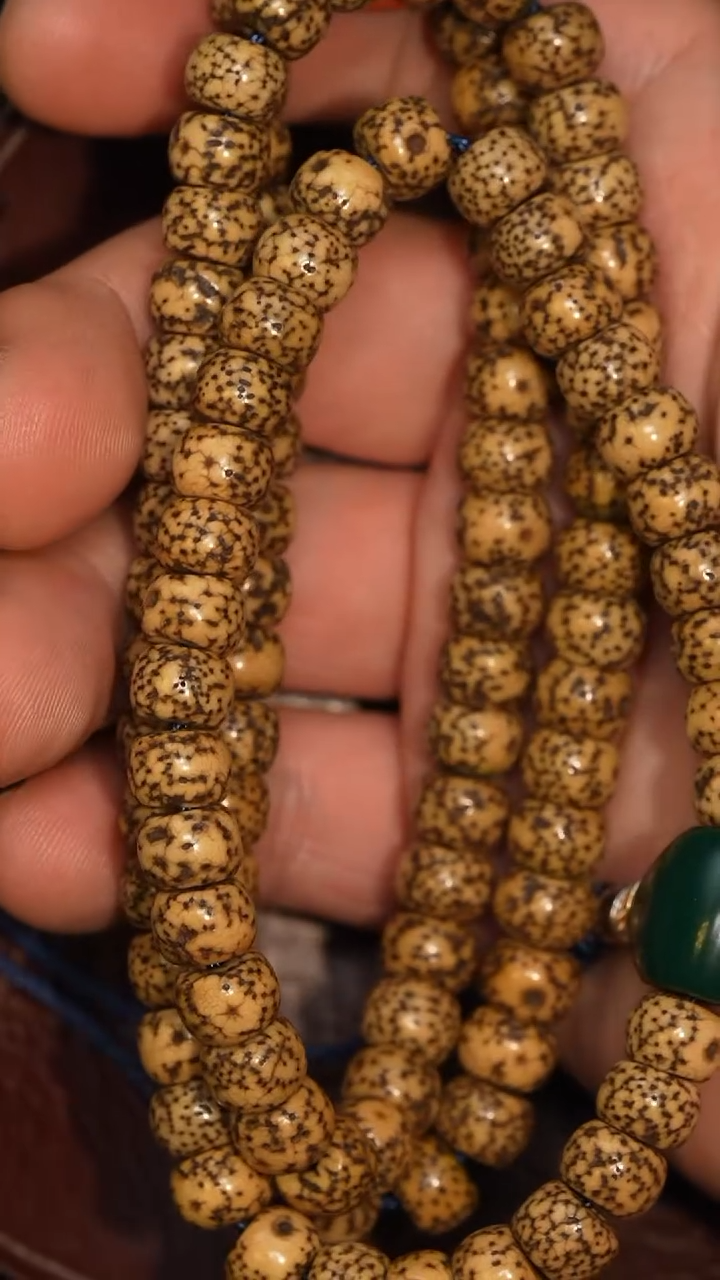 冲赛康胡子哥，藏传念珠264