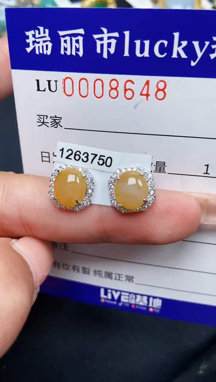 【闪购商品】翡翠颈饰银S925镶嵌8648