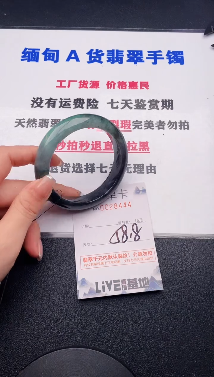 未镶嵌手镯翡翠44