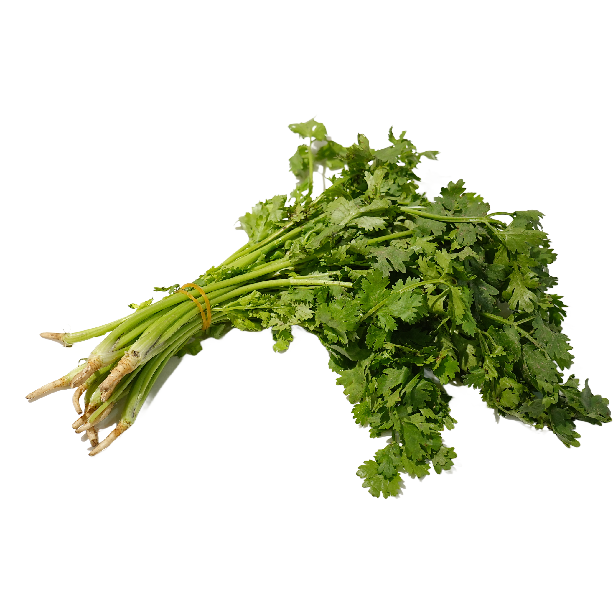 香菜一捆100g左右 */。g