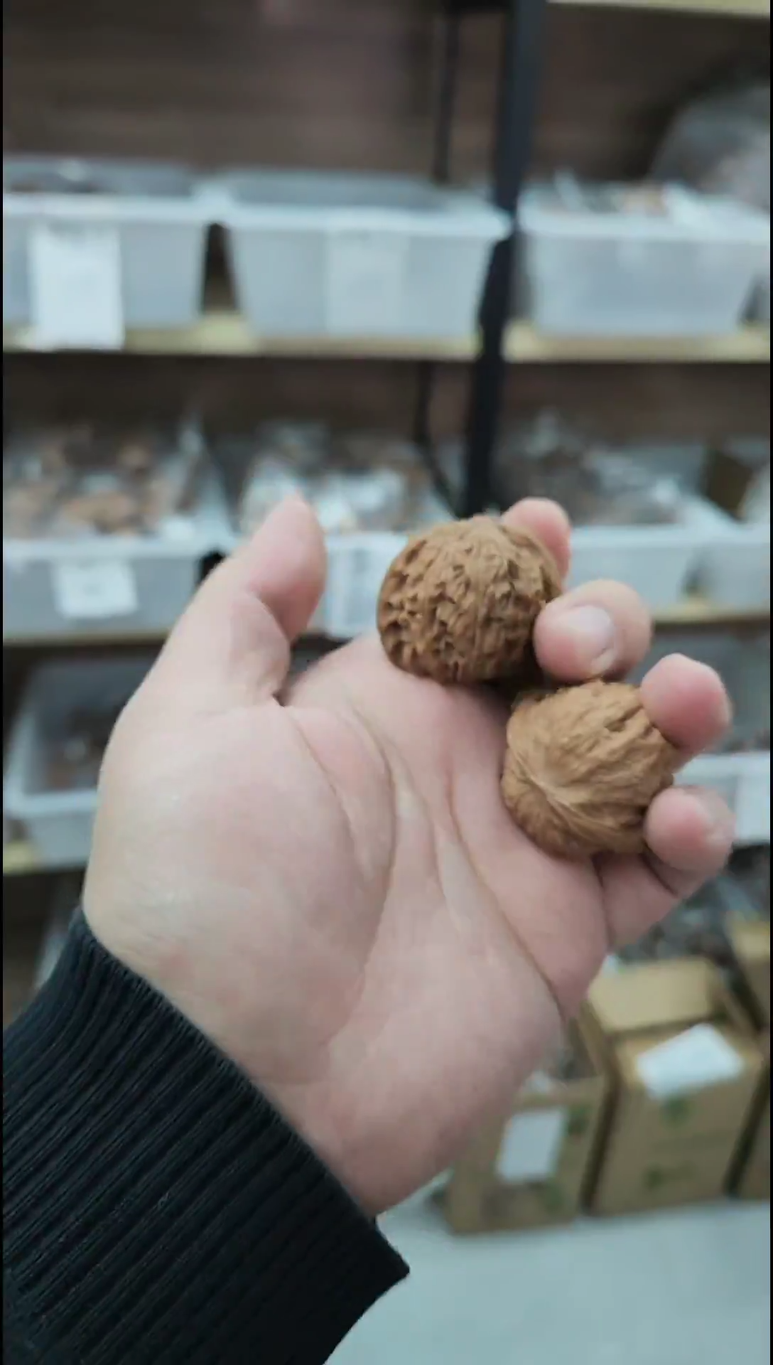 把件核桃福利【磨盘】无修山地#3909877