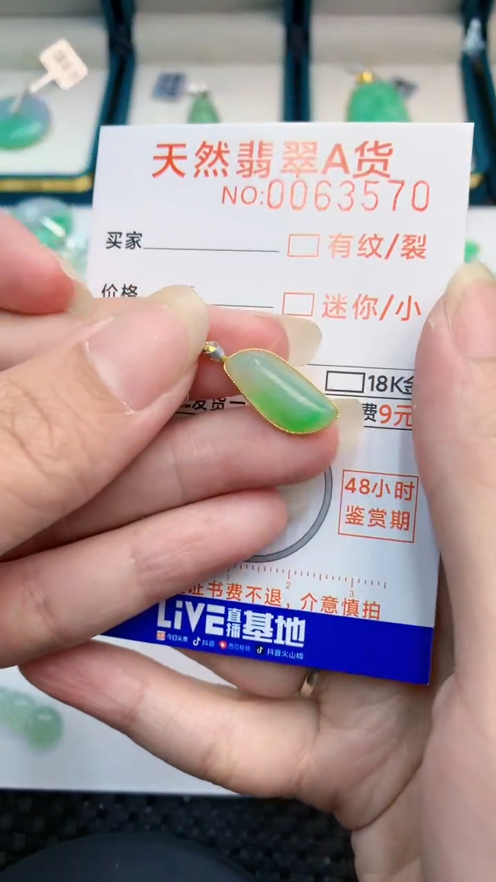 【闪购商品】翡翠颈饰18K金镶嵌            8